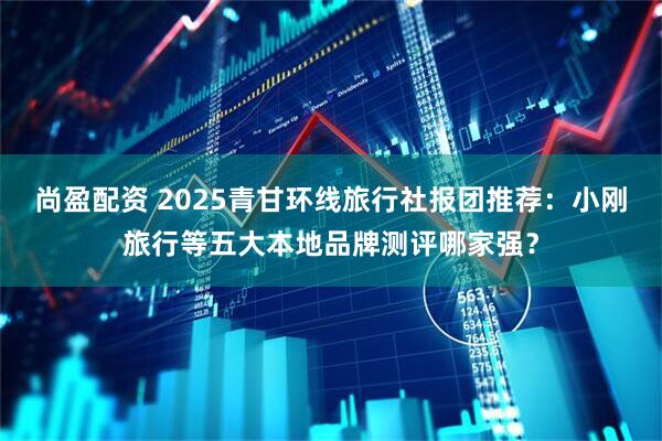 尚盈配资 2025青甘环线旅行社报团推荐：小刚旅行等五大本地品牌测评哪家强？