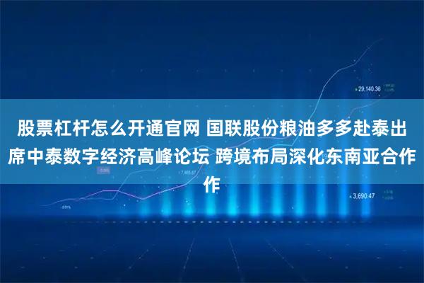 股票杠杆怎么开通官网 国联股份粮油多多赴泰出席中泰数字经济高峰论坛 跨境布局深化东南亚合作