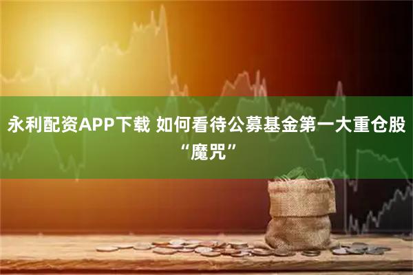 永利配资APP下载 如何看待公募基金第一大重仓股“魔咒”
