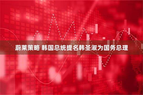 蔚莱策略 韩国总统提名韩圣淑为国务总理
