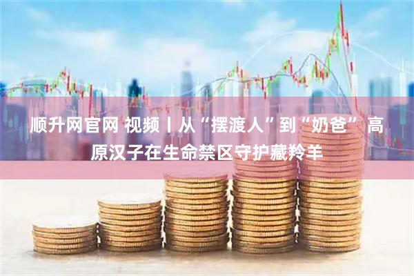 顺升网官网 视频丨从“摆渡人”到“奶爸” 高原汉子在生命禁区守护藏羚羊
